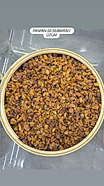 PANPAN 10 NO'LU ÜZÜM (KUTU=5 KG)