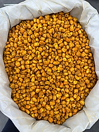 DOJO SOSLU MISIR (ÇUVAL=20 KG)