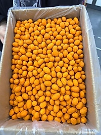 SOSLU FISTIK ADEM MARKA  (KUTU=5 KG)