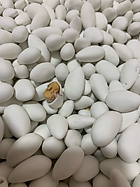 BİR NOLU BADEM ŞEKERİ (KUTU=5 KG)