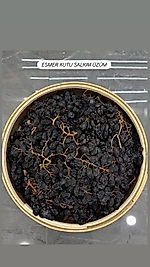 ESMER KUTU SALKIM ÜZÜM