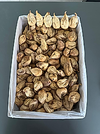 10 KG DÖKME LOP İNCİR