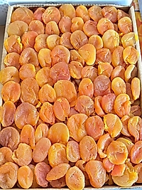 3 NO'LU MALATYA KAYSI (KUTU İÇİ=5 KG)