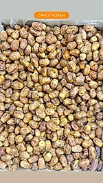 ZAHİDİ IRAK HURMA (KUTU İÇİ=10 KG)
