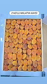 2 NO'LU MALATYA KAYSI (KUTU İÇİ=5 KG)