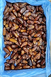 BALLI TUNUS HURMA (KUTU İÇİ=5 KG)