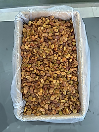 ÇEKİRDEKSİZ ŞENGÜN ÜZÜM (KUTU=5 KG)